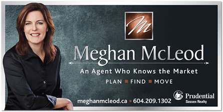 Real Estate Agent Branding Packages
