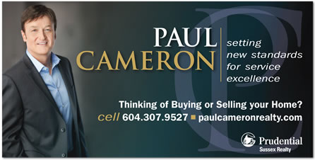 Realtor Branding Packages